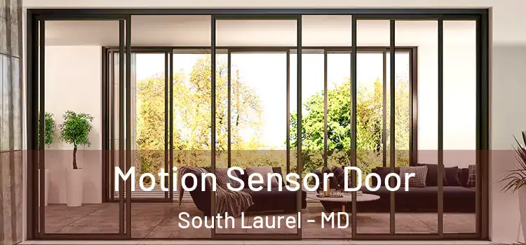 Motion Sensor Door South Laurel - MD